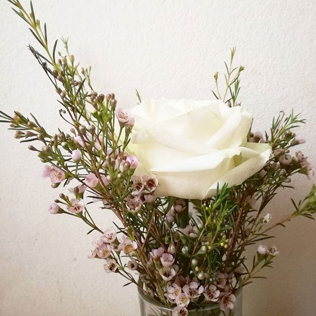 miss babacilu, bijuterii delicate, trandafir alb, wax flowers, 